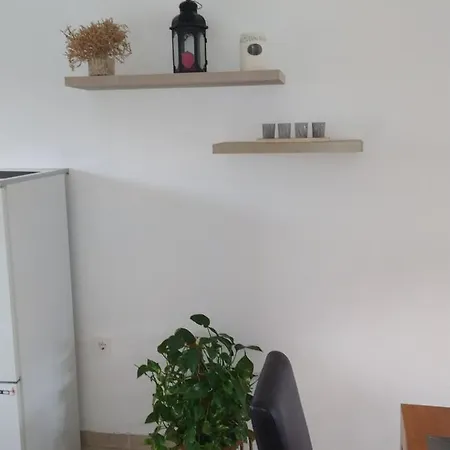 Apartman Spacious Family *